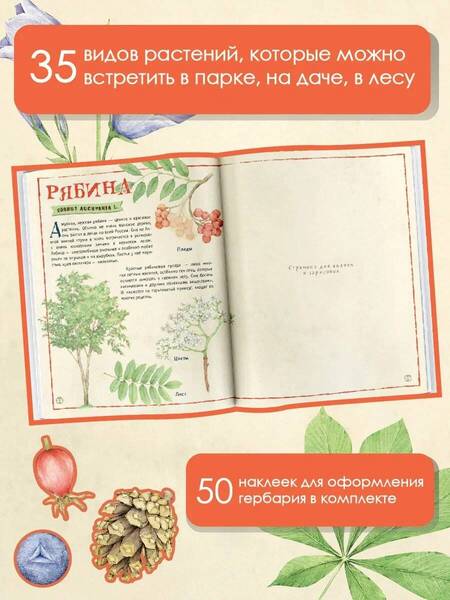 Фотография книги "Дудова: Мой первый гербарий"
