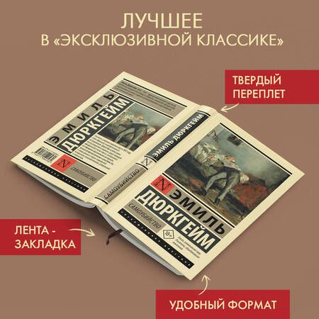 Фотография книги "Дюркгейм: Самоубийство"
