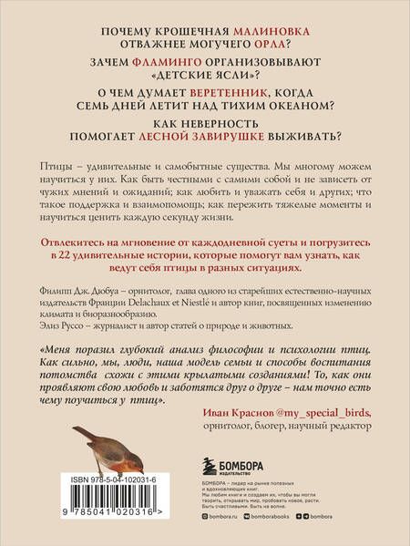 Фотография книги "Дж., Руссо: Удивительная философия птиц. Как ласточки относятся к смерти, горлицы сохраняют романтику в отношениях, а утки спасаются от стресса"