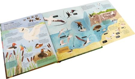 Фотография книги "Джеки Маккэнн: Птицы. От колибри до страуса"