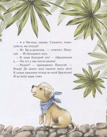 Фотография книги "Джеральд Даррелл: Малыш идет в зоопарк"