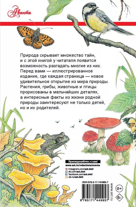 Фотография книги "Джо Браун: Секреты родной природы. Дневник маленьких открытий на каждый день"