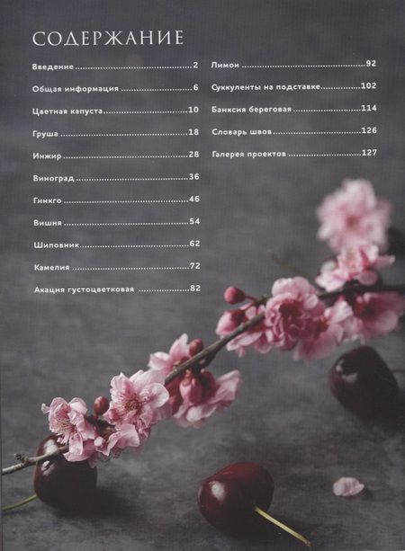 Фотография книги "Джули Книдл: Botanica. Объемная вышивка шерстью от Джули Книдл (+ схемы)"