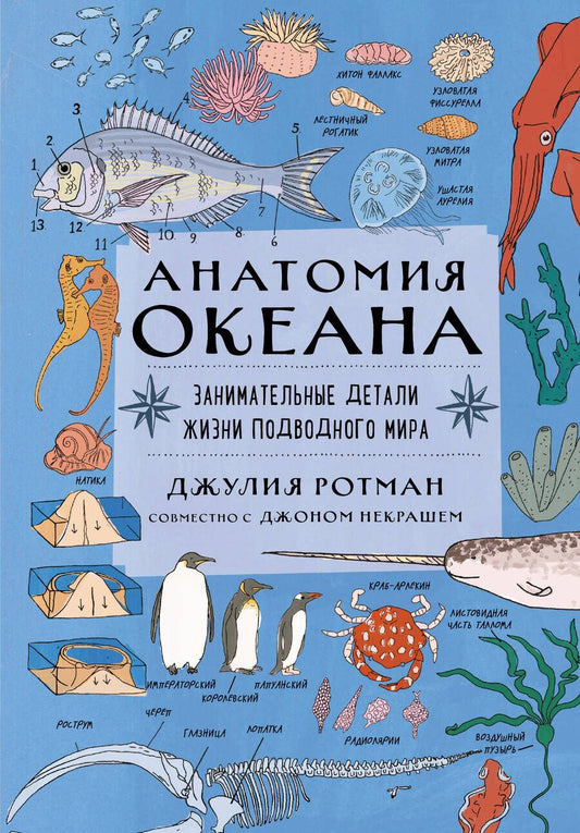 Обложка книги "Джулия Ротман: Анатомия океана. Занимательные детали жизни подводного мира"