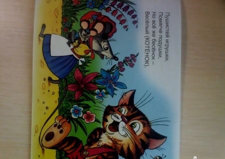 Фотография книги "Эльшанский: Домашний зоопарк"