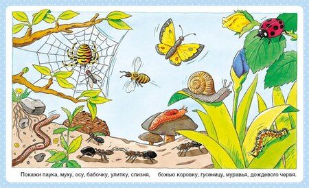 Фотография книги "Эмили Бомон: Животные"
