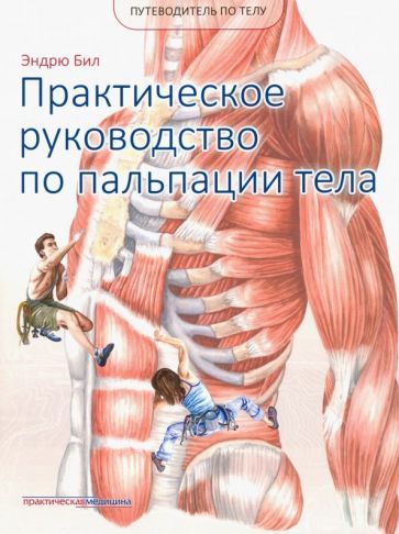 Обложка книги "Эндрю Бил: Путеводитель по телу. Практическое руководство по пальпации тела"