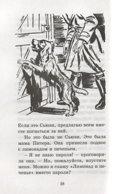Фотография книги "Энид Блайтон: Странная кража"