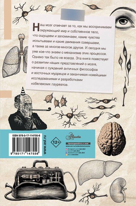 Фотография книги "Энн Руни: Мозг. От древних мифов к нейробиологии"