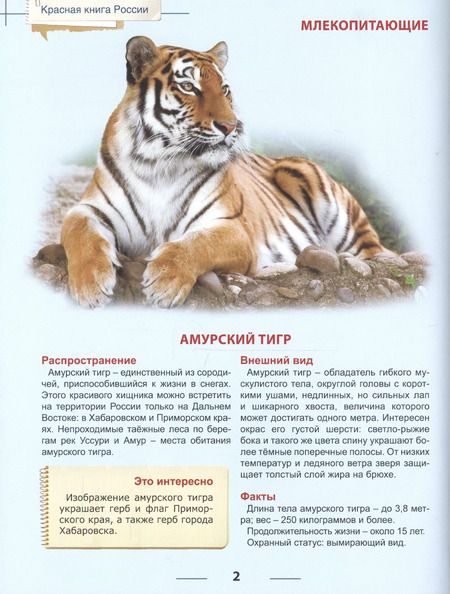 Фотография книги "Энциклопедия для детей красная книга россии"