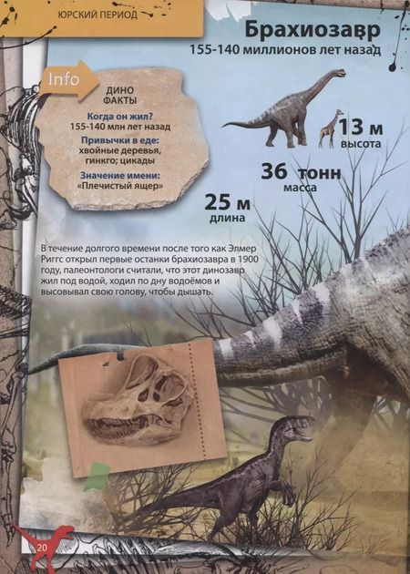 Фотография книги "Энциклопедия в дополненной реальности "Динозавры: от компсогната до рамфоринха""