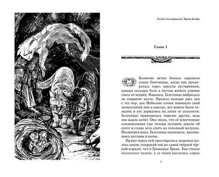 Фотография книги "Эрин Хантер: Коты-воители. Сборник. Нерассказанные истории. Секрет Мотылинки"