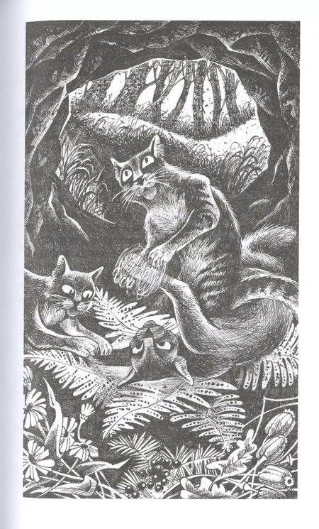 Фотография книги "Эрин Хантер: Приключения Ольхолапа"