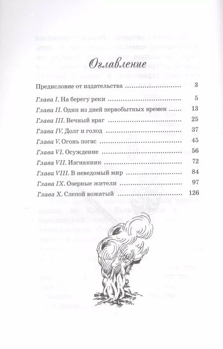 Фотография книги "Эрнест Д'Эрвильи: Приключения доисторического мальчика"