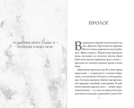 Фотография книги "Эрншоу: Кошмар перед Рождеством. Салли и похититель грёз"