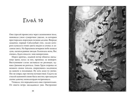 Фотография книги "Фаулер: Рожденная огнем. Книга 1. Дюжина и Ледяной лес"
