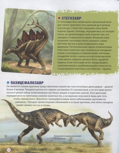Фотография книги "Феданова: Динозавры на планете Земля. Детская энциклопедия"
