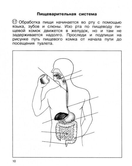 Фотография книги "Федотова, Трафимова, Трафимов, Кудрова: Окружающий мир. 4 класс. Тетрадь для самостоятельной работы. Часть 2"