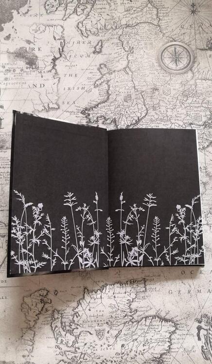 Фотография книги "Феверс: Ведьмина Дорога"