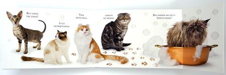 Фотография книги "Флит Ван: Мяу"