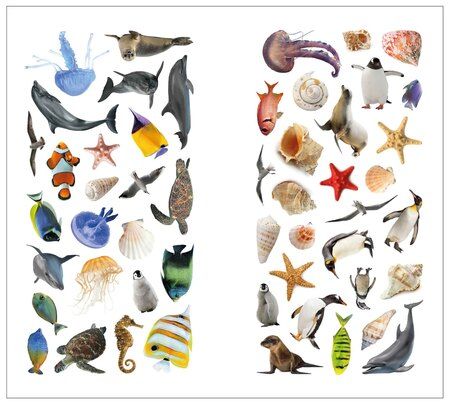 Фотография книги "Фотонаклейки. В море"