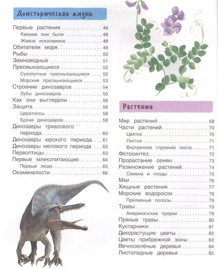 Фотография книги "Фрэн Бромаж: Большая иллюстрированная энциклопедия. новая"