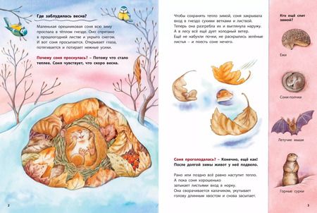 Фотография книги "Фридерун Райхенштеттер: Кто такая орешниковая соня? Познавательные истории"