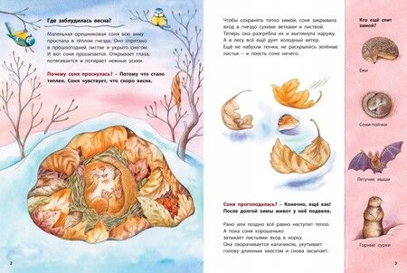 Фотография книги "Фридерун Райхенштеттер: Кто такая орешниковая соня? Познавательные истории"
