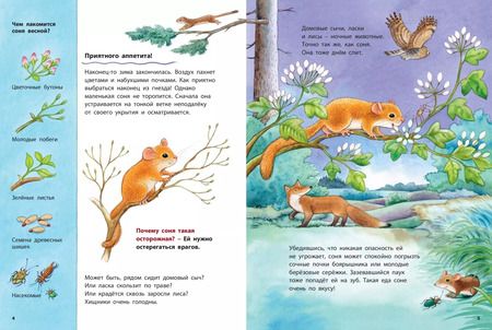 Фотография книги "Фридерун Райхенштеттер: Кто такая орешниковая соня? Познавательные истории"