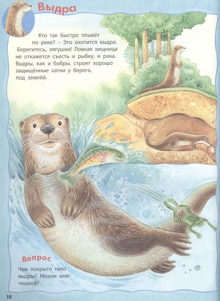Фотография книги "Фридерун Райхенштеттер: Кто живёт в реке? Книжка-активити"