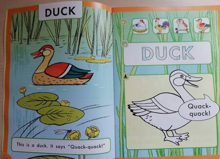 Фотография книги "Фрост: Что говорят птицы? Пособие для детей 3-5 лет"