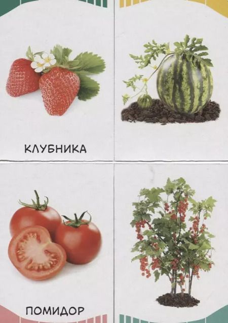 Фотография книги "Фрукты, овощи, ягоды"