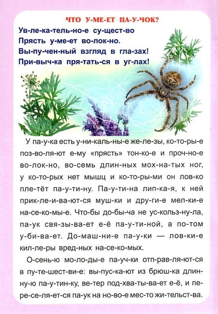 Фотография книги "Г. Попова: Слогочиталка. Секреты природы. Рассказы о букашках. ФГОС ДО"
