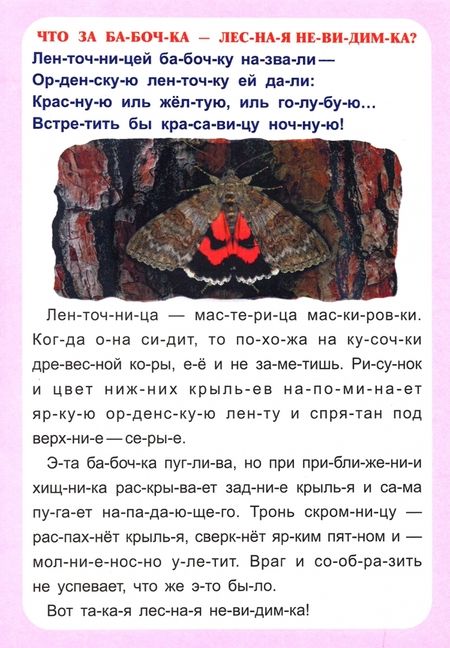 Фотография книги "Г. Попова: Слогочиталка. Секреты природы. Рассказы о букашках. ФГОС ДО"