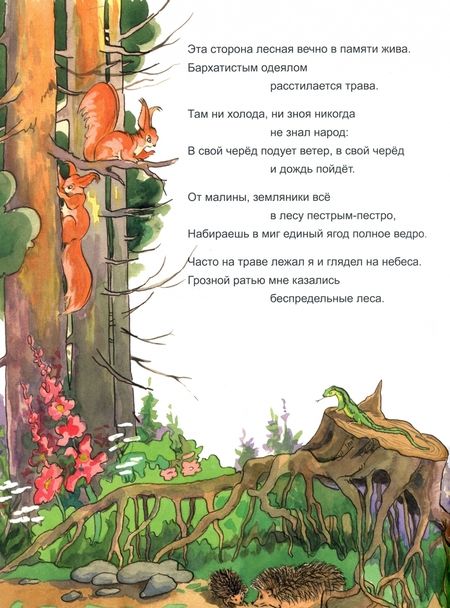 Фотография книги "Габдулла Тукай: Шурале. Сказка в стихах"
