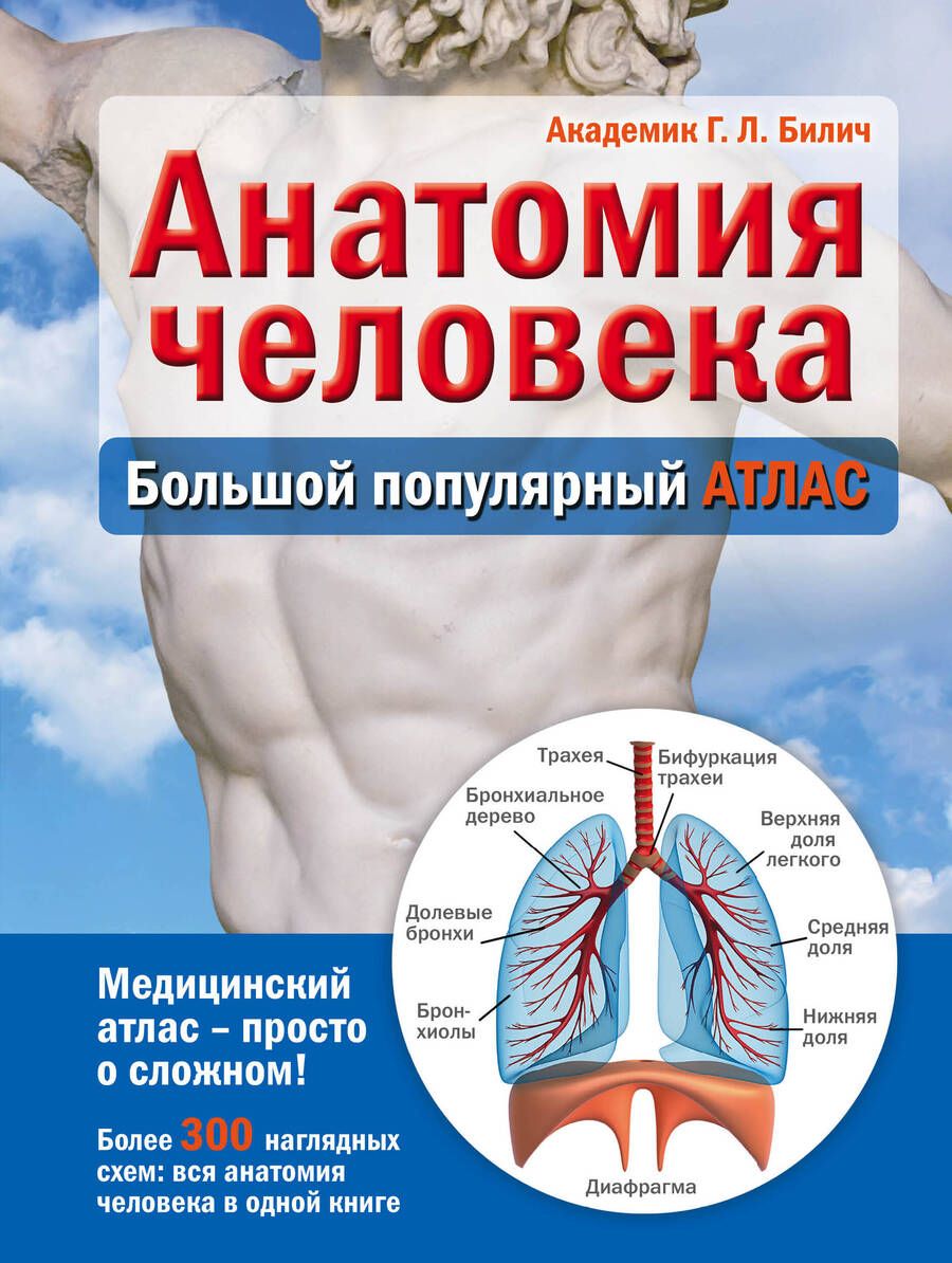 Обложка книги "Габриэль Билич: Анатомия человека: большой популярный атлас"