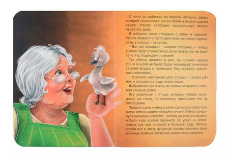 Фотография книги "Гадкий утенок"
