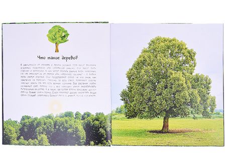 Фотография книги "Гагельдонк: Таинственный лес и его обитатели"