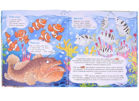 Фотография книги "Галина Ильина: Морской звездочёт и другие удивительные рыбы"