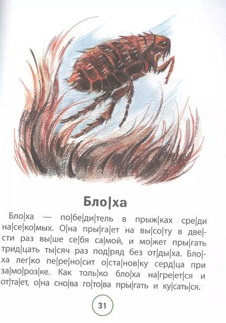 Фотография книги "Галина Сычёва: Познавательные тексты для чтения. Насекомые"