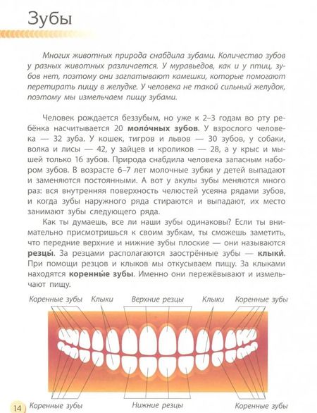 Фотография книги "Галина Стороженко: Человек и его тело"