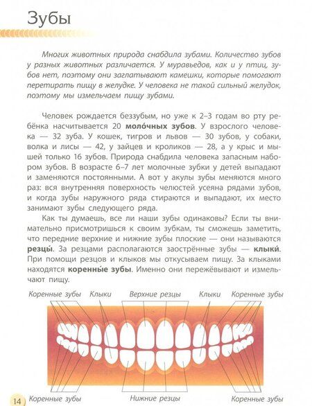 Фотография книги "Галина Стороженко: Человек и его тело"