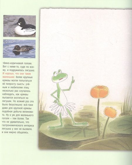 Фотография книги "Гаршин: Лягушка-путешественница. Сказка и быль. Научный комментарий к волшебной истории. Учебное пособие"