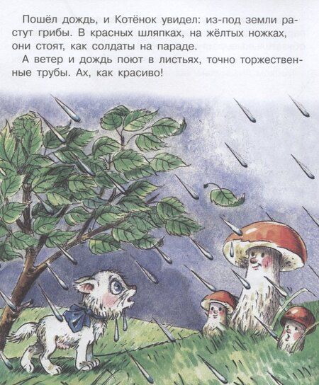 Фотография книги "Геннадий Михайлович: Как стать большим?"