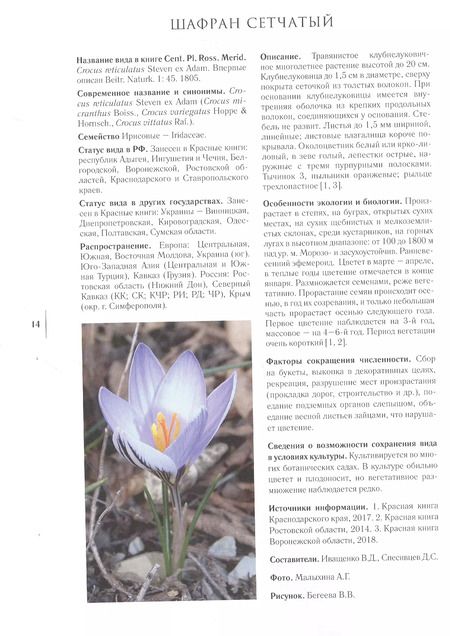 Фотография книги "Gennuria plantarum rariorum russiae meridoinalis Ф.К. Биберштейна глазами молодых исследователей "Сириуса" через 200 лет"