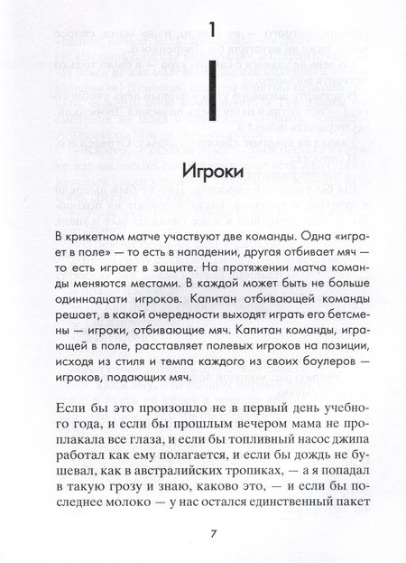 Фотография книги "Гэри Шмидт: Повнимательнее, Картер Джонс!"