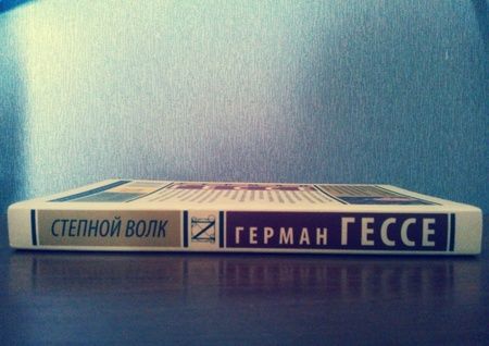 Фотография книги "Гессе: Степной волк"