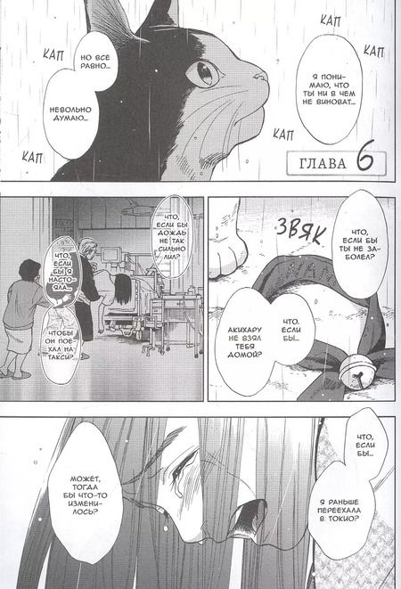 Фотография книги "Гин Сиракава: Жизнь бродячего кота. Том 2"