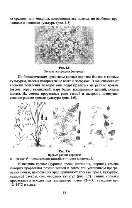 Фотография книги "Глухих: Основы агрономии. Практикум"