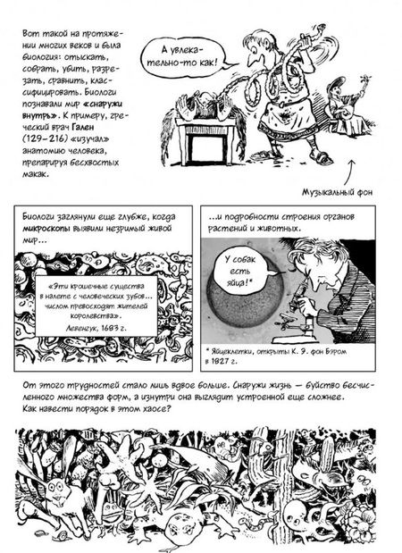 Фотография книги "Гоник, Весснер: Биология. Краткий курс в комиксах"